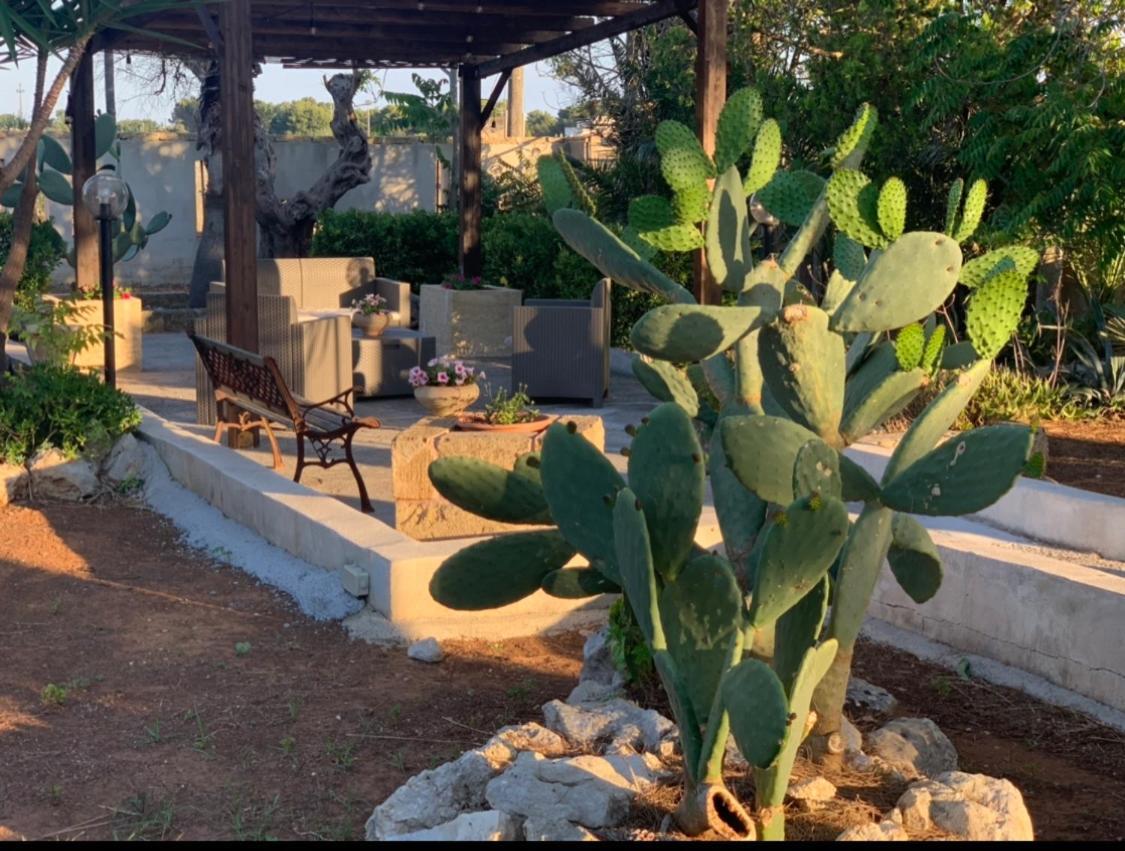 B&B Masseria Nova Torre San Giovanni Ugento Zewnętrze zdjęcie