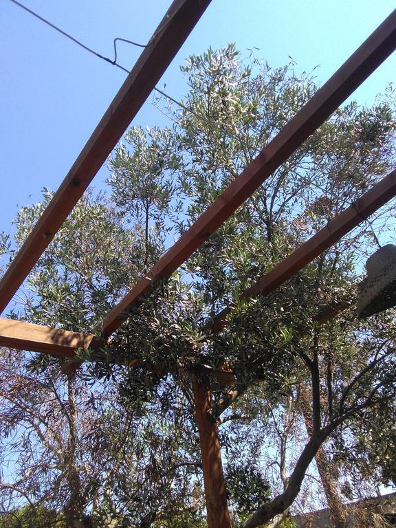 B&B Masseria Nova Torre San Giovanni Ugento Zewnętrze zdjęcie